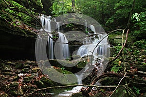 Cascading Deep Forest Waterfall