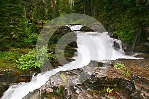 Cascading Falls, Glacier National Park, Montana