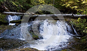 Cascading falls over mossy rocks