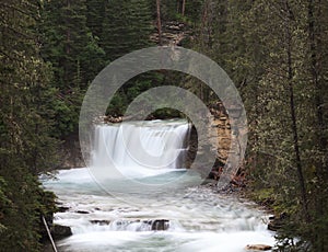 Cascading forest stream