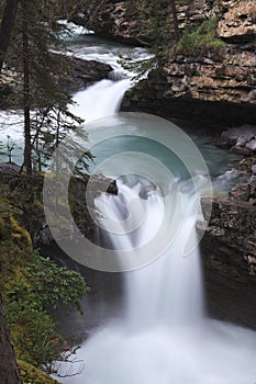 Cascading forest stream in Canadian Rockies