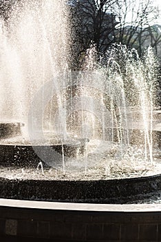 Cascading fountain near trees in lviv