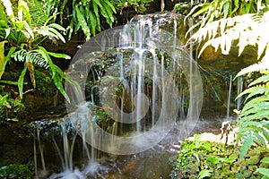 Cascading garden waterfalls with green foliage in foreground