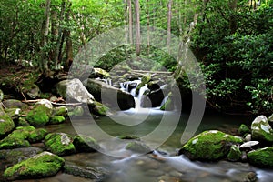 Cascading mountain stream