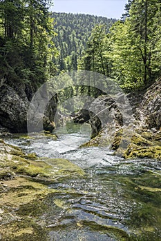 Cascading mountain stream