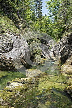 Cascading mountain stream