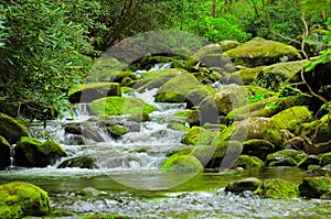 Cascading Mountain stream photo