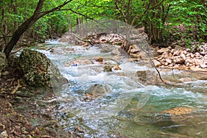 Cascading Mountain stream in green forest