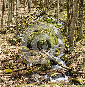 Cascading Mountain Waterfalls in the Woods