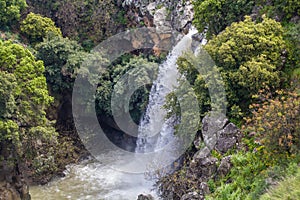 Cascading Saar Waterfalls slashes through Saar river gorge. Spring time in the Golan Heights