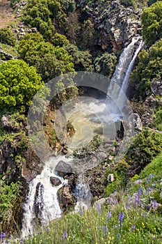 Cascading Saar Waterfalls slashes through Saar river gorge. Spring time in the Golan Heights