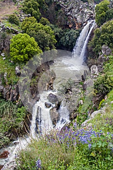 Cascading Saar Waterfalls slashes through Saar river gorge. Spring time in the Golan Heights