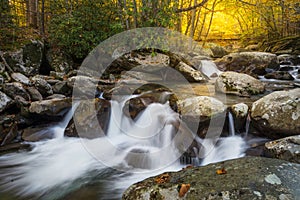 Cascading stream and fall colors