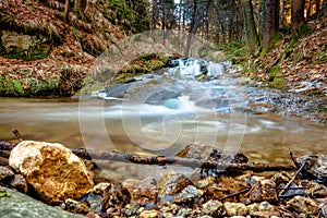 Cascading stream in the forest