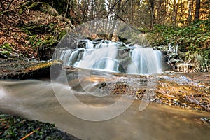 Cascading stream in the forest