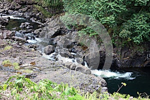 A cascading stream leading to a pool of water on the Wailuku River in Hilo, Hawaii