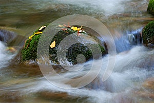 Cascading stream water