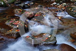 Cascading stream water