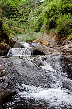 Cascading Sweet Creek Falls