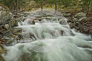 Cascading Tartagine river in Corsica