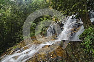 Cascading tropical waterfall. wet and mossy rock, surrounded by green rain forest