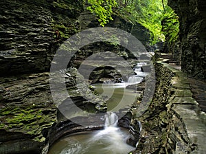 Cascading water on the Gorge Trail in Watkins Glen State Park