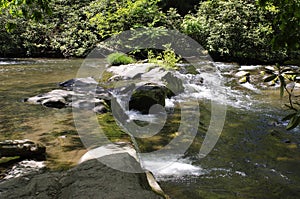 Cascading Water Looking Across a Stream