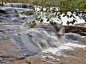 Cascading Water at Shacktown Falls