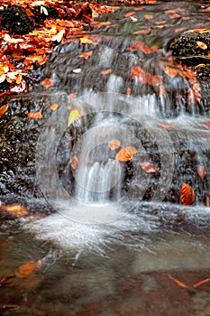 Cascading water of a stream