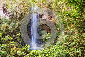 Cascading water in a tropical jungle