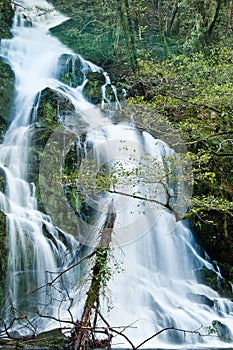 Cascading Waterfall