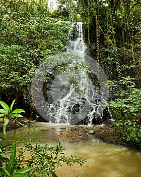 Catarata waterfall in the Guanacaste forest
