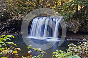 Cascading waterfall with foliage around frame of image