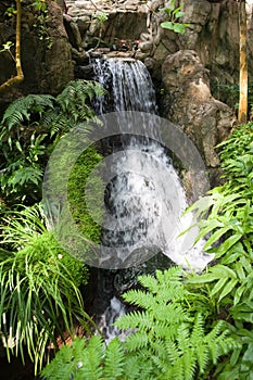 Cascading Waterfall in Hong Kong Park