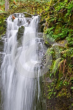 Cascading waterfall with lush mossy rocks and fern plants