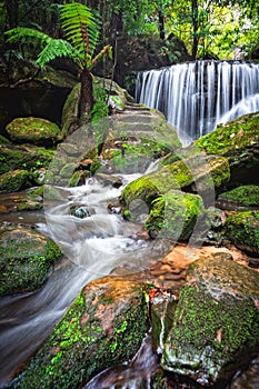 Cascading waterfall through lush rainforest