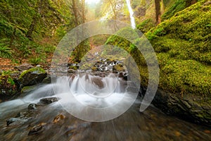 Cascading Waterfall at Starvation Creek State Park Oregon