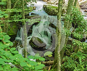 Cascading Waterfalls on Mountain Stream