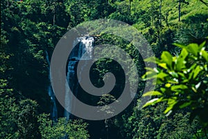 Cascading Waterfalls of Nuwara Eliya in Sri Lanka