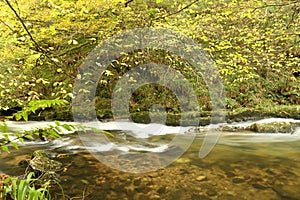 Cascading waters of the river Lyn