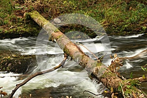 Cascading waters of the river Lyn