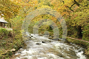 Cascading waters of the river Lyn