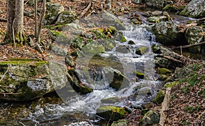 Cascading Wild Mountain Stream