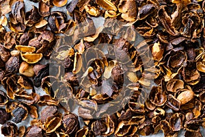 Cascara, Coffee Cherry Tea made from the Dried Skins of dried Berries of the Coffee Plant for Backgrounds or Textures photo