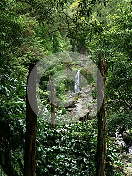 Cascata da Grena waterfall of the Parque da Grena natural park on the island of Sao Miguel in Azores