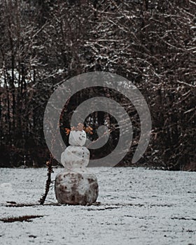 Casear the Snowman in Mary's River Park in Philomath Oregon