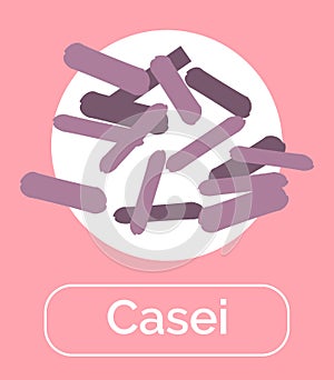 Casei Probiotics for Human Digestive System Vector