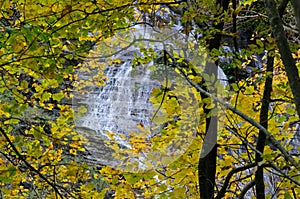 Casentino forest park waterfalls dell'Acquacheta