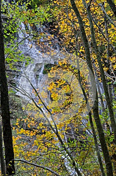 Casentino forest park waterfalls dell'Acquacheta photo