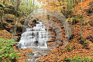 Casentino forest waterfalls